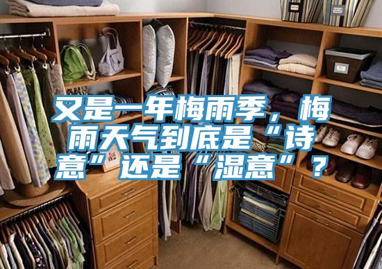 又是一年梅雨季，梅雨天氣到底是“詩意”還是“濕意”？