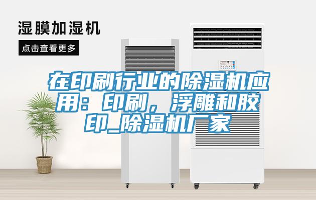 在印刷行業(yè)的除濕機(jī)應(yīng)用：印刷，浮雕和膠印_除濕機(jī)廠家