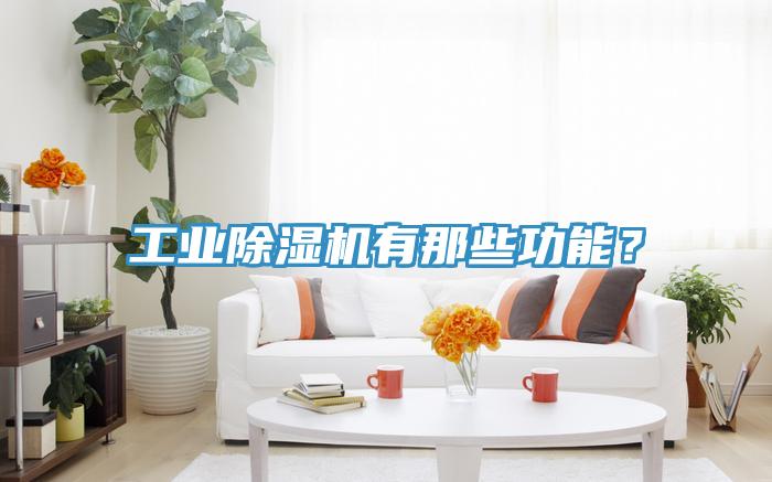 工業(yè)除濕機有那些功能？