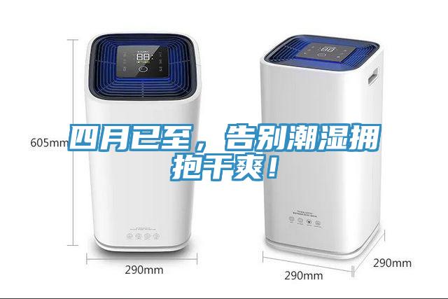 四月已至，告別潮濕擁抱干爽！