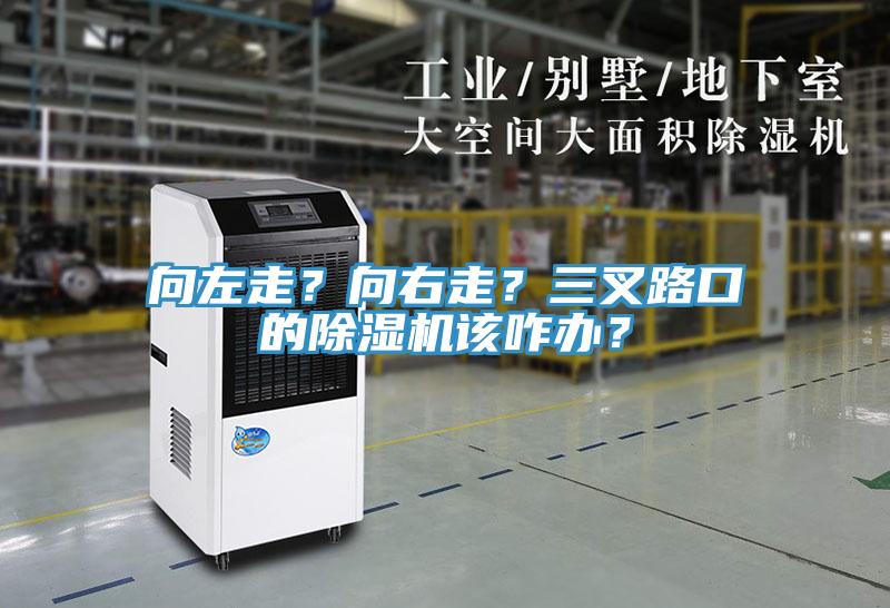向左走？向右走？三叉路口的除濕機(jī)該咋辦？