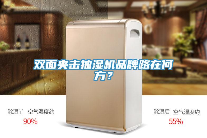雙面夾擊抽濕機品牌路在何方？