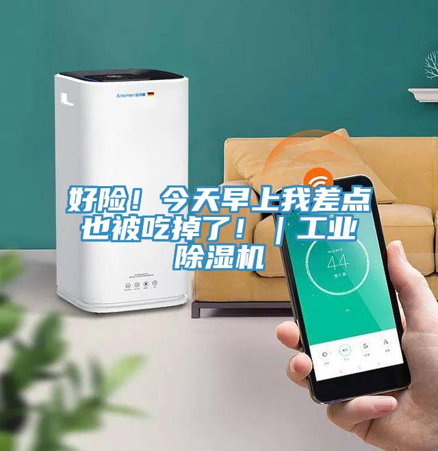好險(xiǎn)！今天早上我差點(diǎn)也被吃掉了！｜工業(yè)除濕機(jī)
