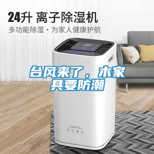 臺(tái)風(fēng)來了，木家具要防潮