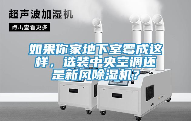如果你家地下室霉成這樣，選裝中央空調(diào)還是新風(fēng)除濕機(jī)？