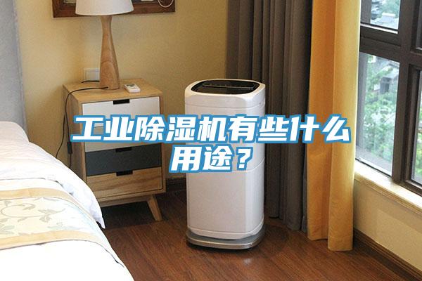 工業(yè)除濕機有些什么用途？