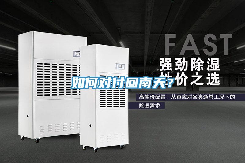 如何對付回南天？