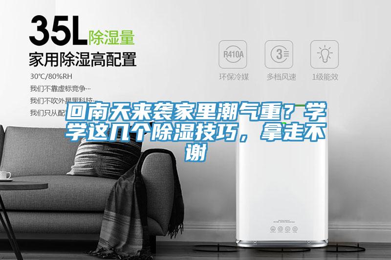 回南天來襲家里潮氣重？學學這幾個除濕技巧，拿走不謝