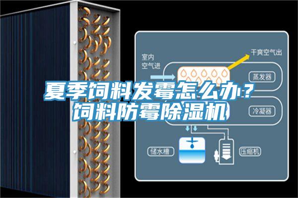 夏季飼料發(fā)霉怎么辦？飼料防霉除濕機