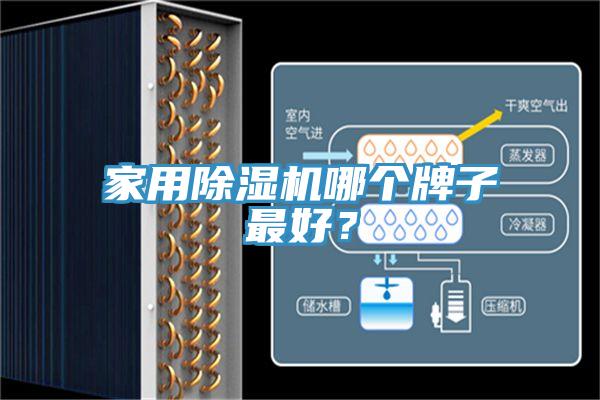 家用除濕機(jī)哪個(gè)牌子最好？