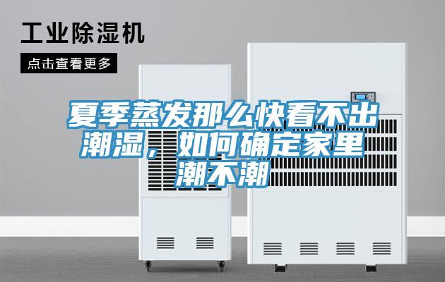 夏季蒸發(fā)那么快看不出潮濕，如何確定家里潮不潮