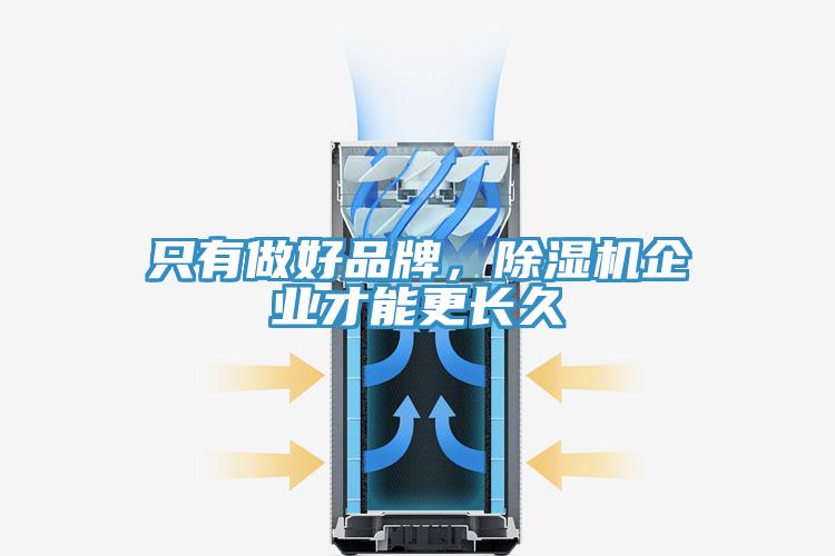只有做好品牌，除濕機企業(yè)才能更長久