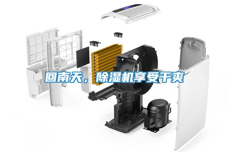 回南天，除濕機享受干爽
