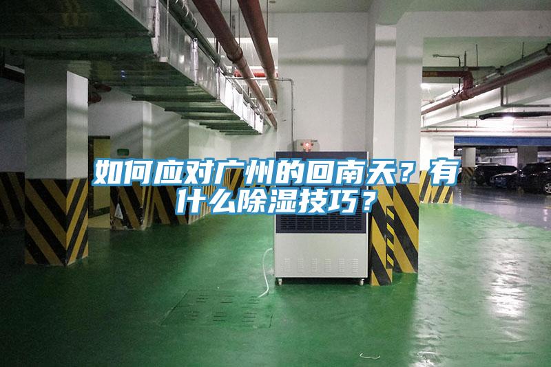 如何應(yīng)對(duì)廣州的回南天？有什么除濕技巧？