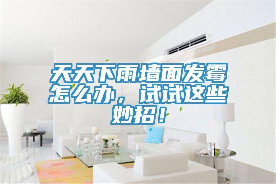 天天下雨墻面發(fā)霉怎么辦，試試這些妙招！
