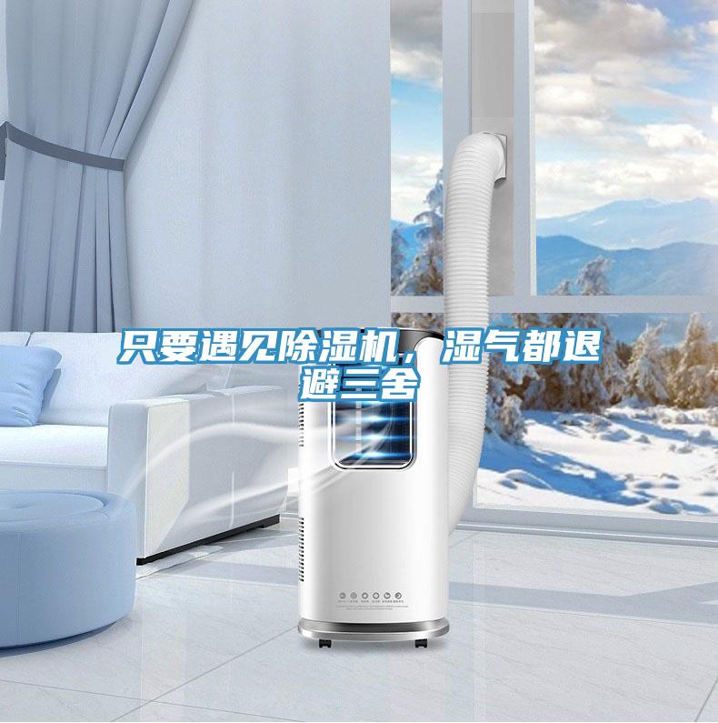 只要遇見除濕機，濕氣都退避三舍