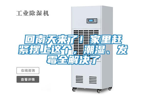 回南天來了！家里趕緊擺上這個，潮濕、發(fā)霉全解決了