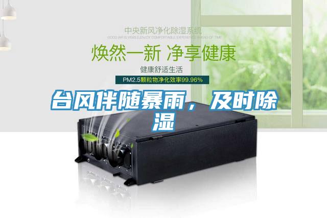 臺(tái)風(fēng)伴隨暴雨，及時(shí)除濕