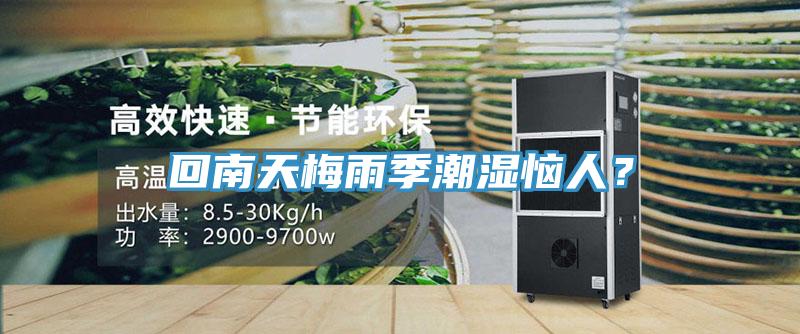 回南天梅雨季潮濕惱人？