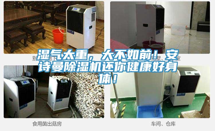 濕氣太重，大不如前！安詩曼除濕機(jī)還你健康好身體！
