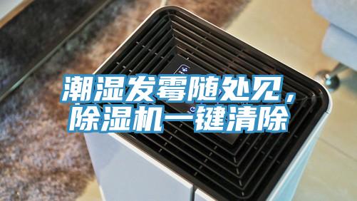 潮濕發(fā)霉隨處見(jiàn)，除濕機(jī)一鍵清除
