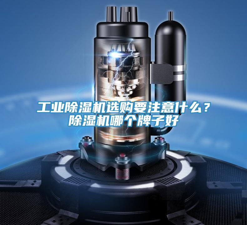 工業(yè)除濕機(jī)選購要注意什么？除濕機(jī)哪個牌子好