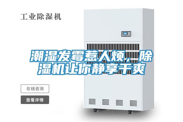 潮濕發(fā)霉惹人煩，除濕機(jī)讓你靜享干爽