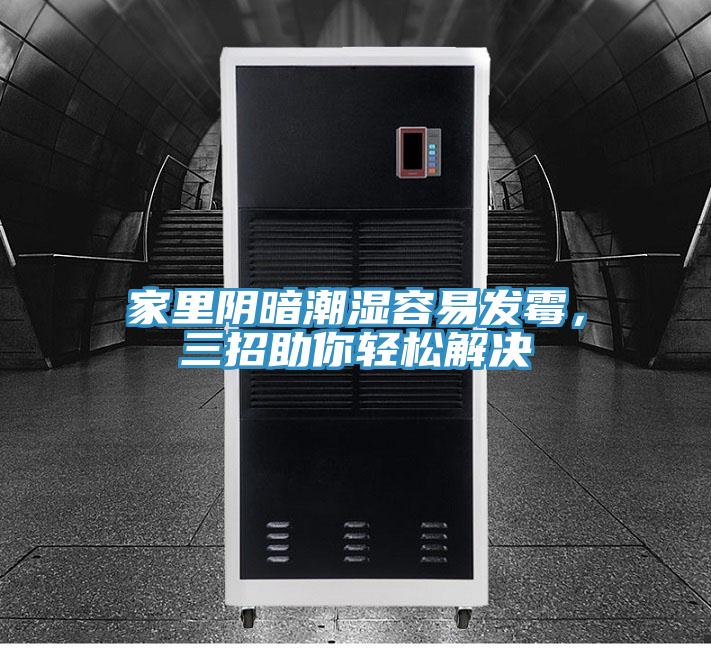 家里陰暗潮濕容易發(fā)霉，三招助你輕松解決