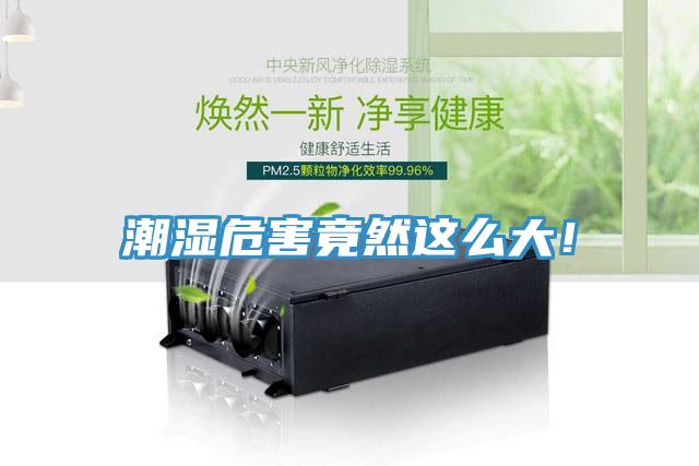 潮濕危害竟然這么大！