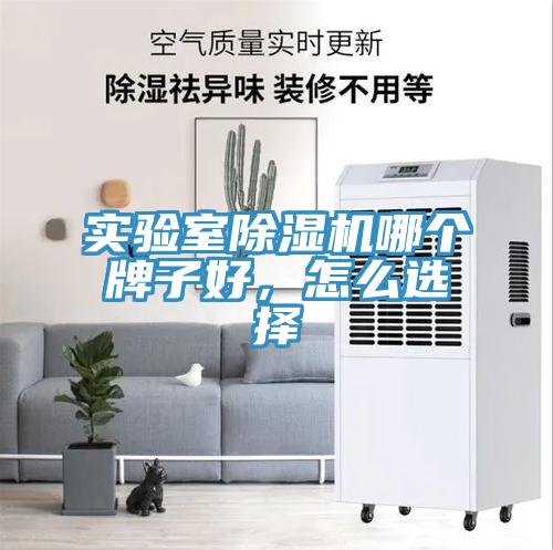 實(shí)驗(yàn)室除濕機(jī)哪個牌子好，怎么選擇