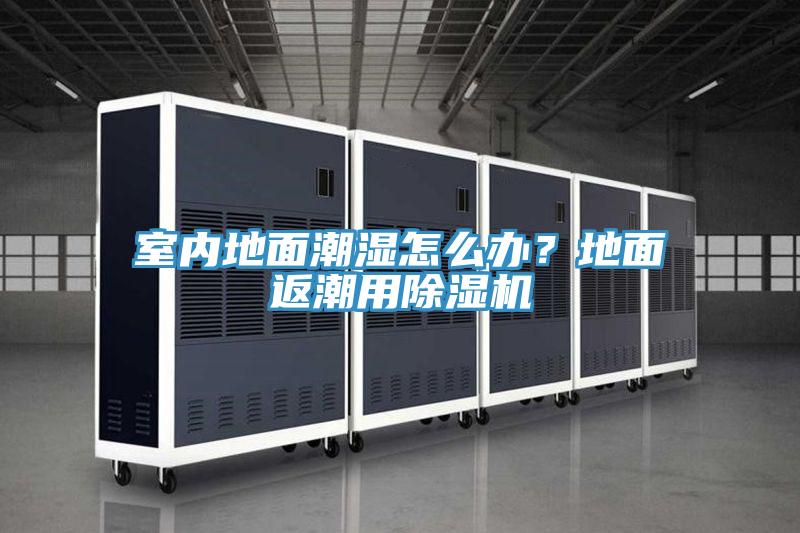 室內(nèi)地面潮濕怎么辦？地面返潮用除濕機(jī)