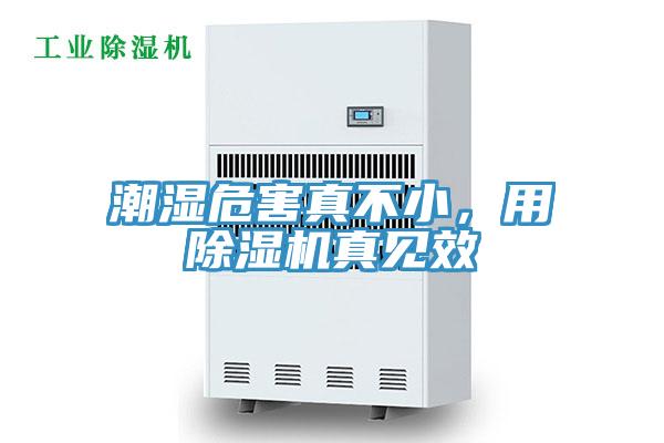 潮濕危害真不小，用除濕機(jī)真見效