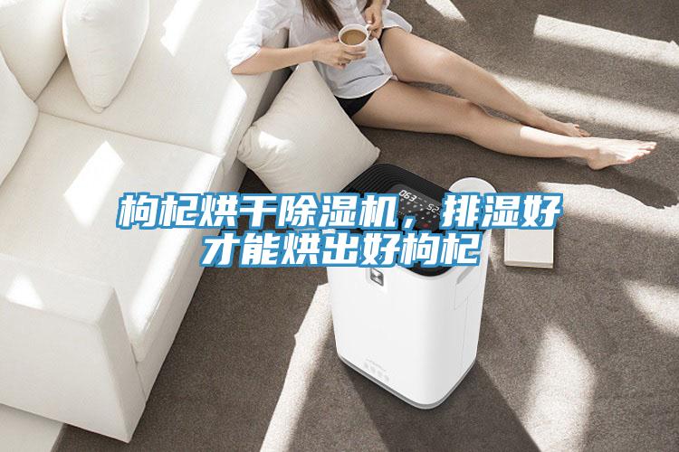 枸杞烘干除濕機，排濕好才能烘出好枸杞