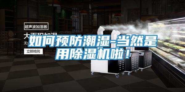 如何預(yù)防潮濕-當然是用除濕機啦！