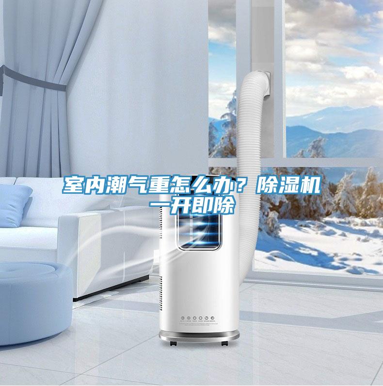 室內(nèi)潮氣重怎么辦？除濕機(jī)一開即除