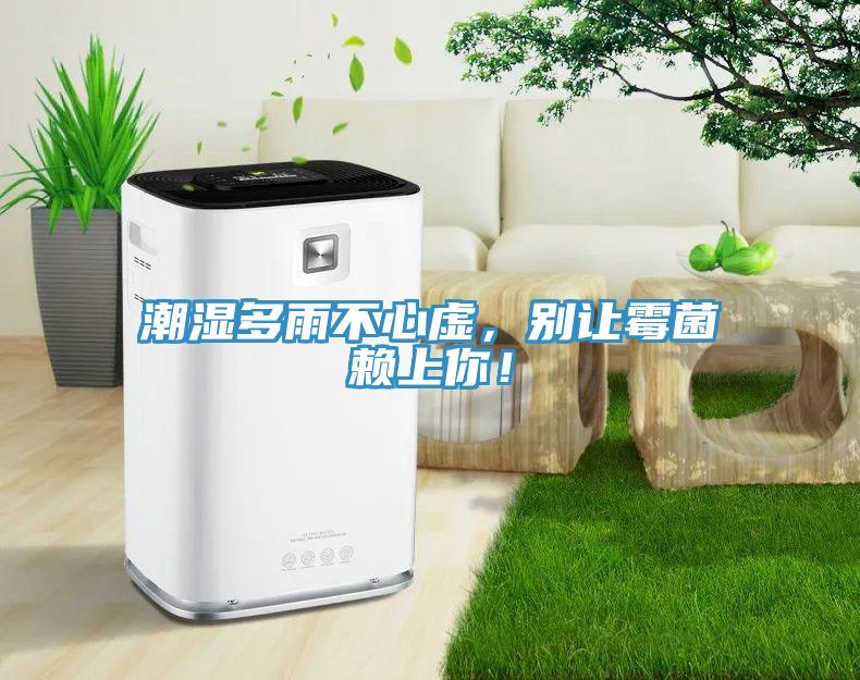 潮濕多雨不心虛，別讓霉菌賴上你！