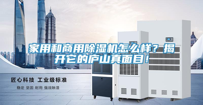 家用和商用除濕機(jī)怎么樣？揭開它的廬山真面目！