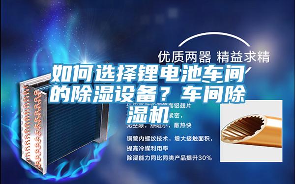 如何選擇鋰電池車間的除濕設(shè)備？車間除濕機(jī)