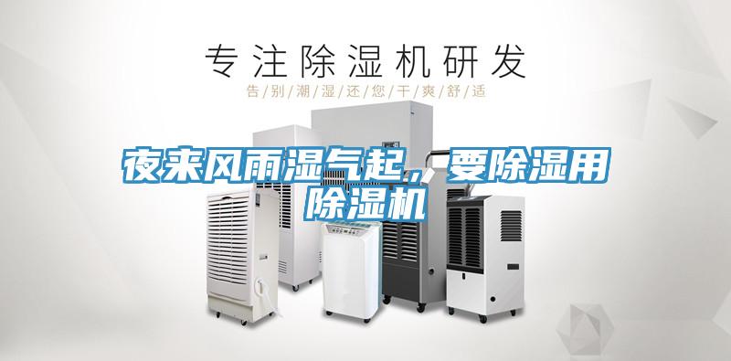 夜來風(fēng)雨濕氣起，要除濕用除濕機(jī)