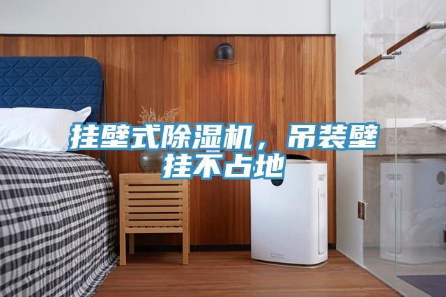 掛壁式除濕機(jī)，吊裝壁掛不占地