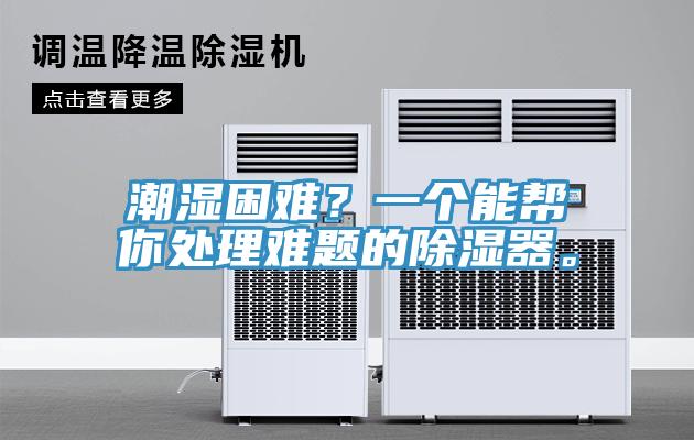 潮濕困難？一個能幫你處理難題的除濕器。