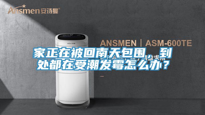 家正在被回南天包圍，到處都在受潮發(fā)霉怎么辦？