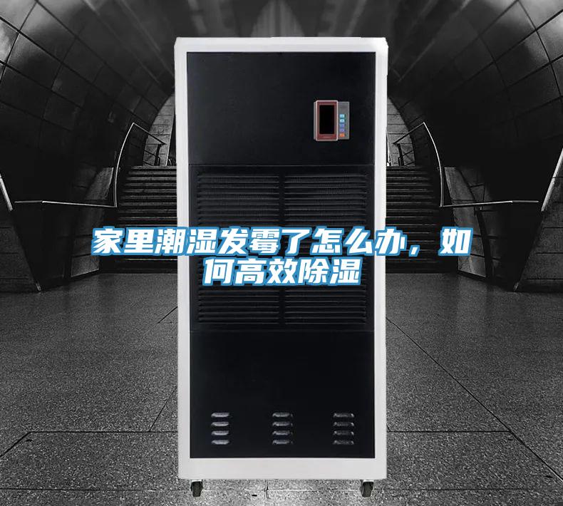 家里潮濕發(fā)霉了怎么辦，如何高效除濕