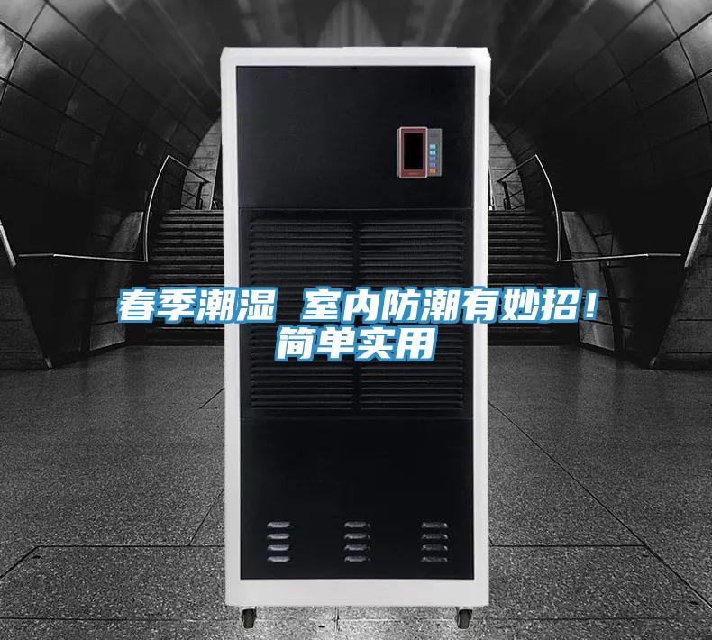 春季潮濕 室內(nèi)防潮有妙招！簡單實用