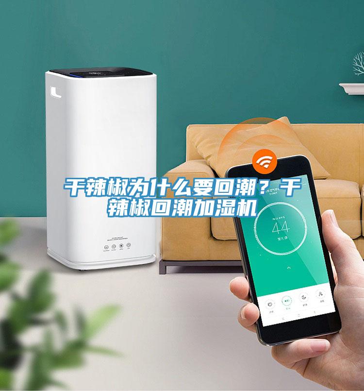 干辣椒為什么要回潮？干辣椒回潮加濕機