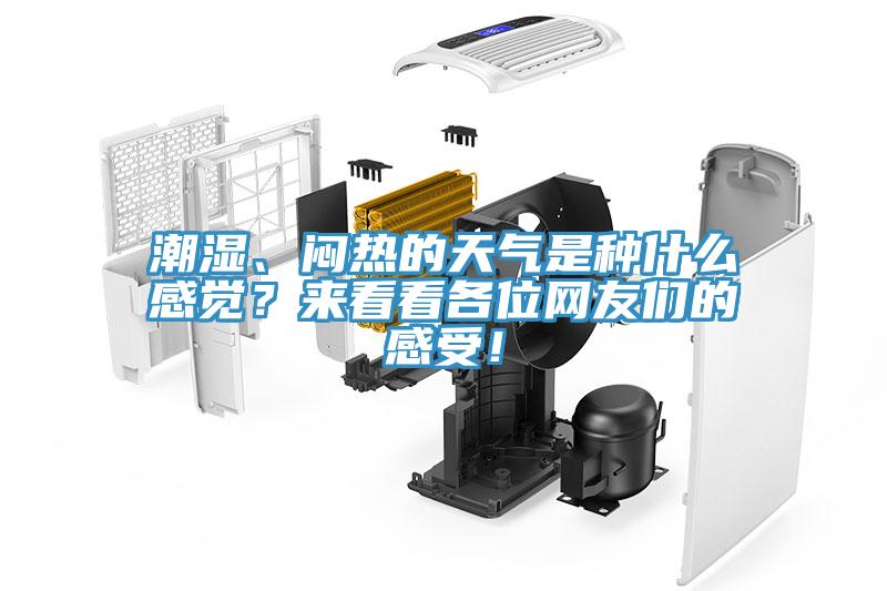 潮濕、悶熱的天氣是種什么感覺？來看看各位網(wǎng)友們的感受！