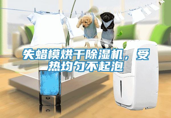 失蠟?zāi)：娓沙凉駲C(jī)，受熱均勻不起泡