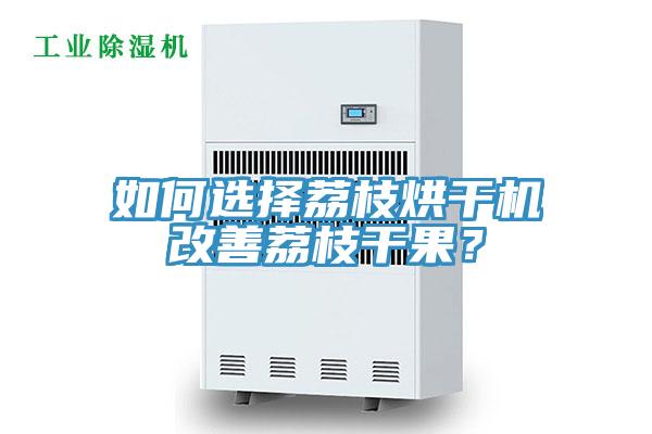 如何選擇荔枝烘干機(jī)改善荔枝干果？