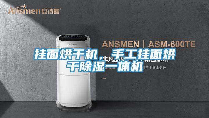 掛面烘干機(jī)，手工掛面烘干除濕一體機(jī)