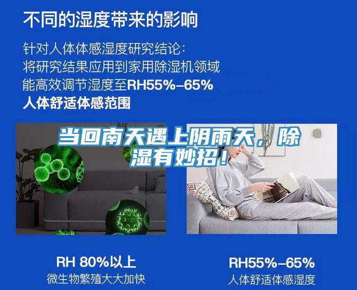 當(dāng)回南天遇上陰雨天，除濕有妙招！